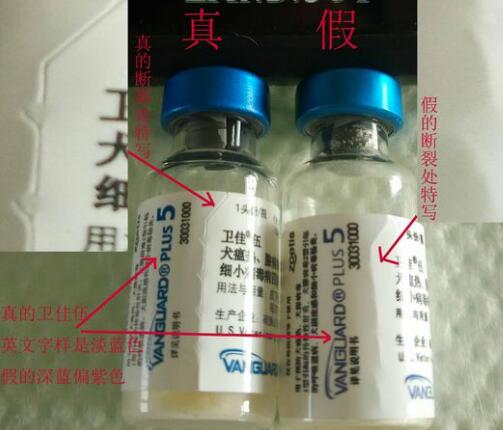 如何辨別輝瑞衛(wèi)佳疫苗真假？(圖3)