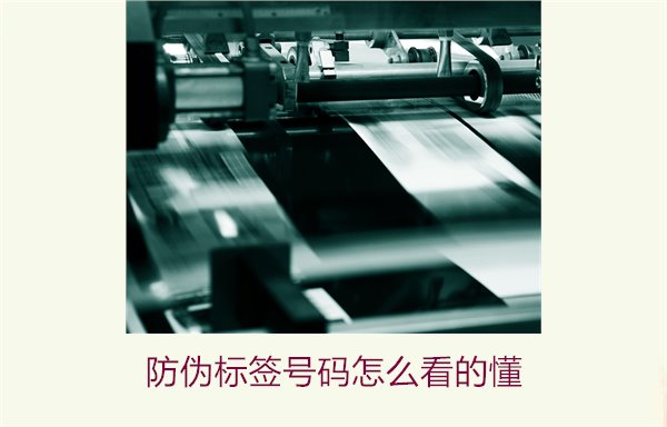 防偽標(biāo)簽號碼怎么看的懂？詳細(xì)解析防偽標(biāo)簽號碼的識別方法與技巧(圖1)