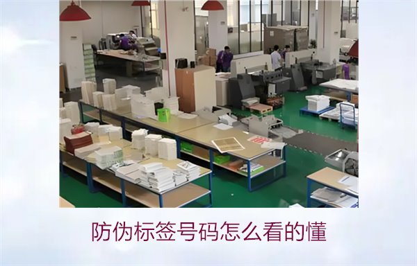 防偽標(biāo)簽號碼怎么看的懂？詳細(xì)解析防偽標(biāo)簽號碼的識別方法與技巧(圖2)