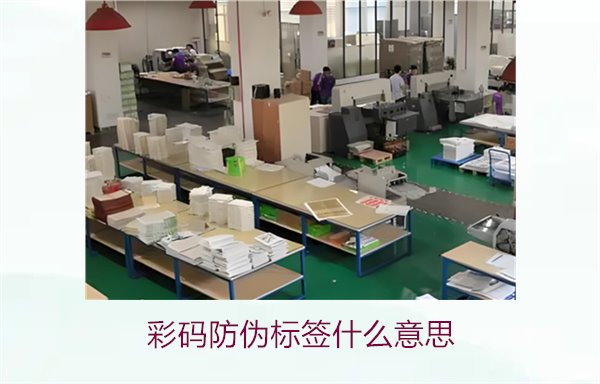 彩碼防偽標(biāo)簽什么意思？解析彩碼標(biāo)簽的防偽原理與應(yīng)用(圖2)